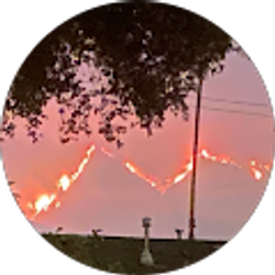 Profile photo of 力量举105公斤级观众