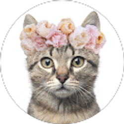 Profile photo of Cindy Thomas