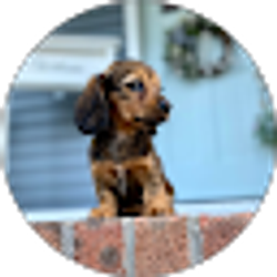 Profile photo of Jason Yenny