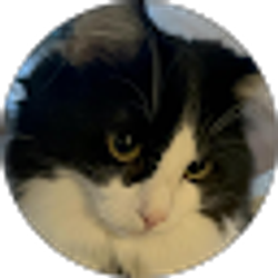 Profile photo of MEISHIN KO