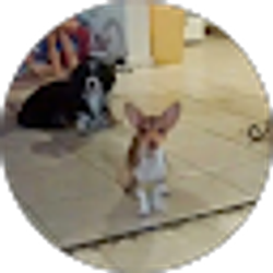 Profile photo of lluvia vazquez