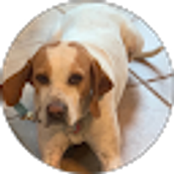 Profile photo of J. Gurley