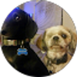 Profile photo of Erin Casey