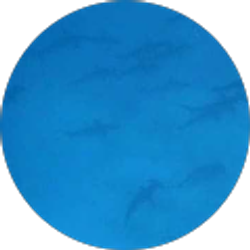 Profile photo of pc0s050