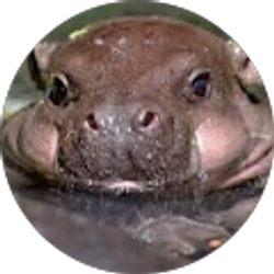 Profile photo of Sean whight