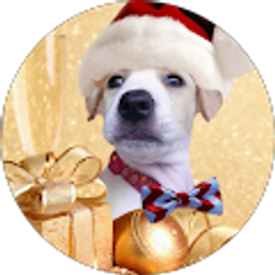 Profile photo of Ariel Padua