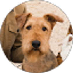 Profile photo of Wolfgang Horn