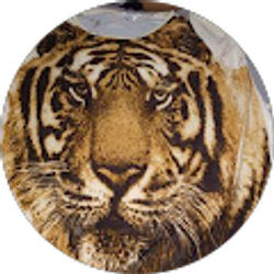 Profile photo of Madeline Fortis (Maddy)