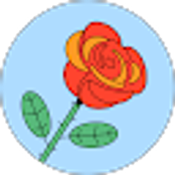 Profile photo of Chef Rose
