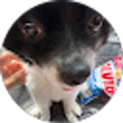 Profile photo of Johan Jaime