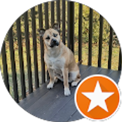 Profile photo of Peter Dripchak