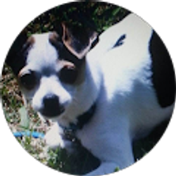 Profile photo of Melissa Dial