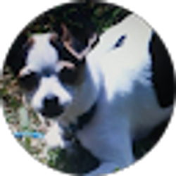 Profile photo of Melissa Dial