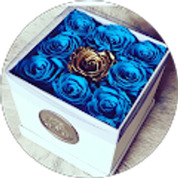 Profile photo of Shanekqua Mckenzie