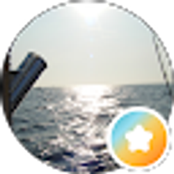 Profile photo of Brad Fox