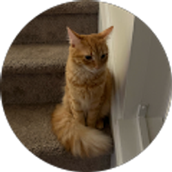 Profile photo of Javian Silva