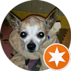 Profile photo of Brian “B” L