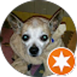 Profile photo of Brian “B” L