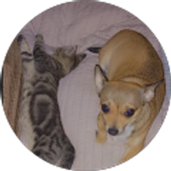 Profile photo of Lb Pratt