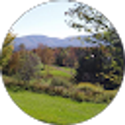 Profile photo of Nina C