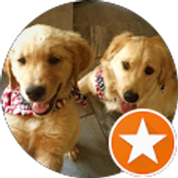 Profile photo of A Pack