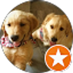 Profile photo of A Pack