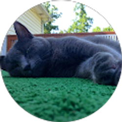 Profile photo of Vaughn Williams