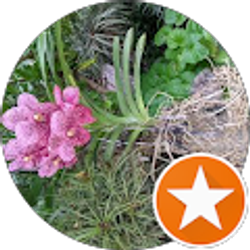 Profile photo of Linda Balsamo