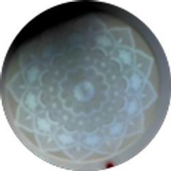 Profile photo of Roberto Juarez