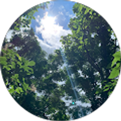 Profile photo of julian “El leon” paredes