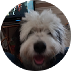 Profile photo of Jeff Gress