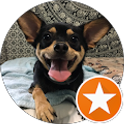 Profile photo of Daniela