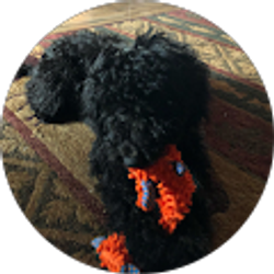 Profile photo of Marja Tedder