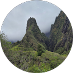 Profile photo of Brian Owen