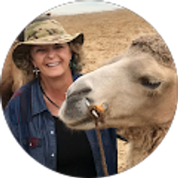 Profile photo of Julie Basile