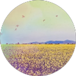 Profile photo of Tiffany Lynne Dellinger