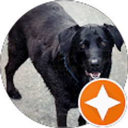 Profile photo of Mike Wilson