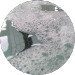 Profile photo of Lily Timmreck