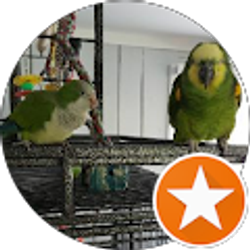 Profile photo of Amy