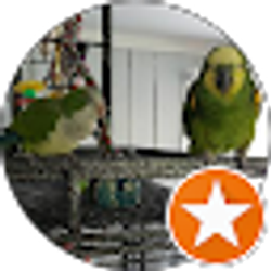 Profile photo of Amy