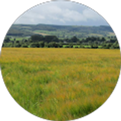 Profile photo of Mary James