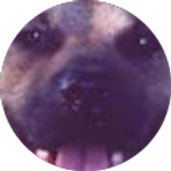 Profile photo of Anthony Stansbury