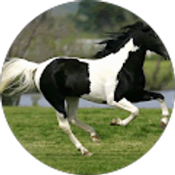 Profile photo of Vicki SAUNDERS