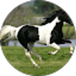 Profile photo of Vicki SAUNDERS
