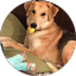 Profile photo of Brandon Strickland