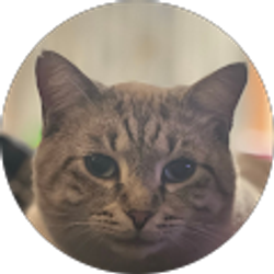 Profile photo of Brent Clark