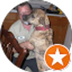 Profile photo of nate stark