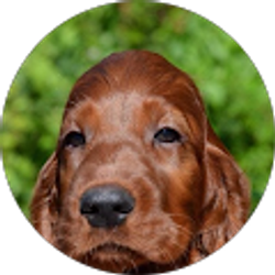 Profile photo of Larry Brewer