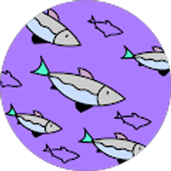 Profile photo of García D