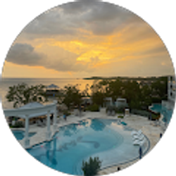 Profile photo of Sandy Tayloe